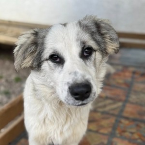 Cati - 09.01.2026
