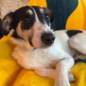Libby (Billie) - 10.01.2026