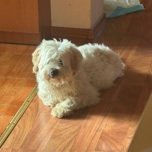 Lucky - 10.01.2026