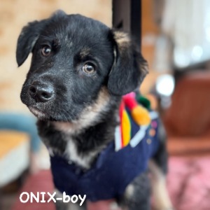 Onix (nu Dibbes) - 10.01.2026