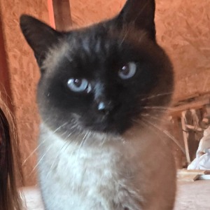 Cynthia (Mitzi) - 06.02.2026