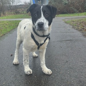 Oliver - 07.02.2026