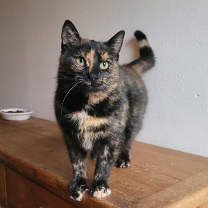 Glinda (nu Rosie) - 14.02.2026
