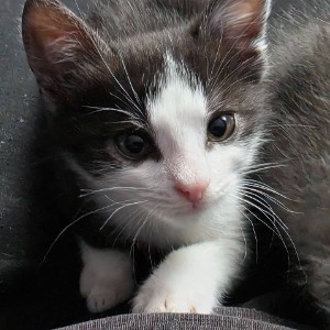 George - 21.02.2026