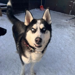 Jack - 21.02.2026