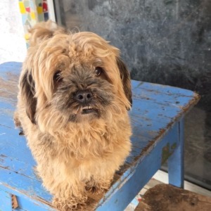 Teddy - 07.03.2026