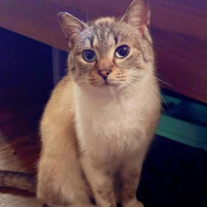Anya (nu Molly) - 21.03.2026