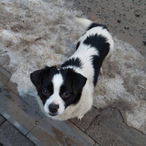 Bao - 21.03.2026