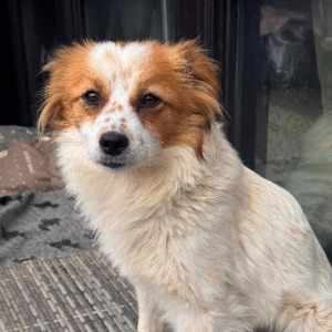 Darcy - 21.03.2026