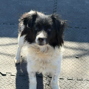 Tilly - 04.04.2026