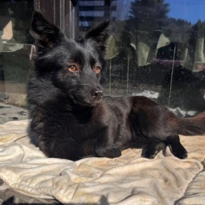 Mocha (nu Molly) - 18.04.2026