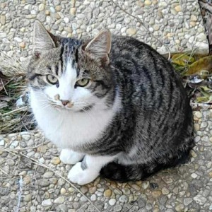 Rufle (nu Ollie) - 28.04.2026