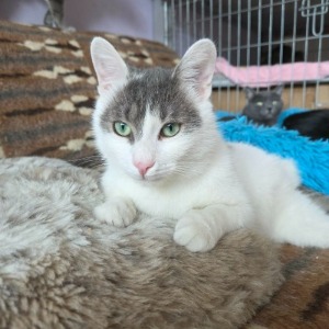 Jamie (nu Loki) - 09.05.2026