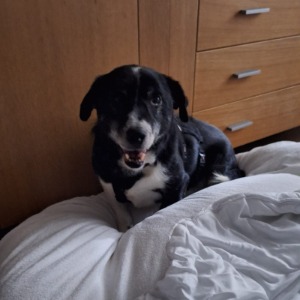 Jake - 06.06.2026