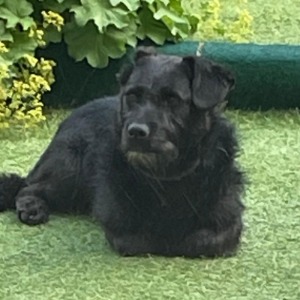 Muriel (nu Bonnie) - 20.06.2026
