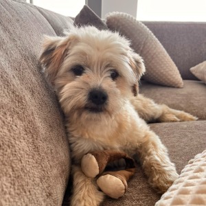 Bree - 18.07.2026 
