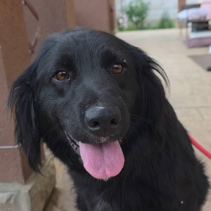 Jamira - 18.07.2026 
