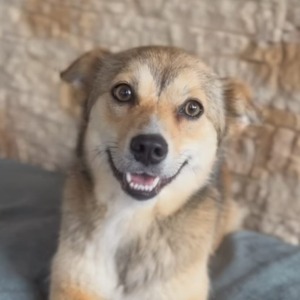 Suki - 04.08.2026