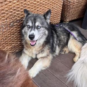 Odin - 20.08.2026